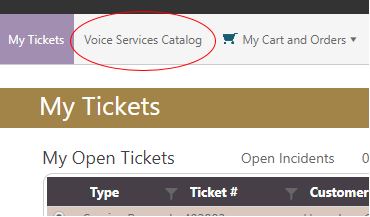 Voice Services Catalog Picture